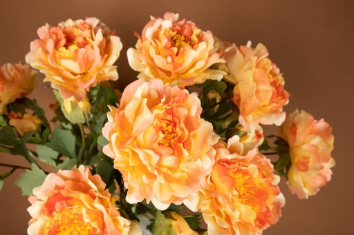 Peony Flower Orange With Bud