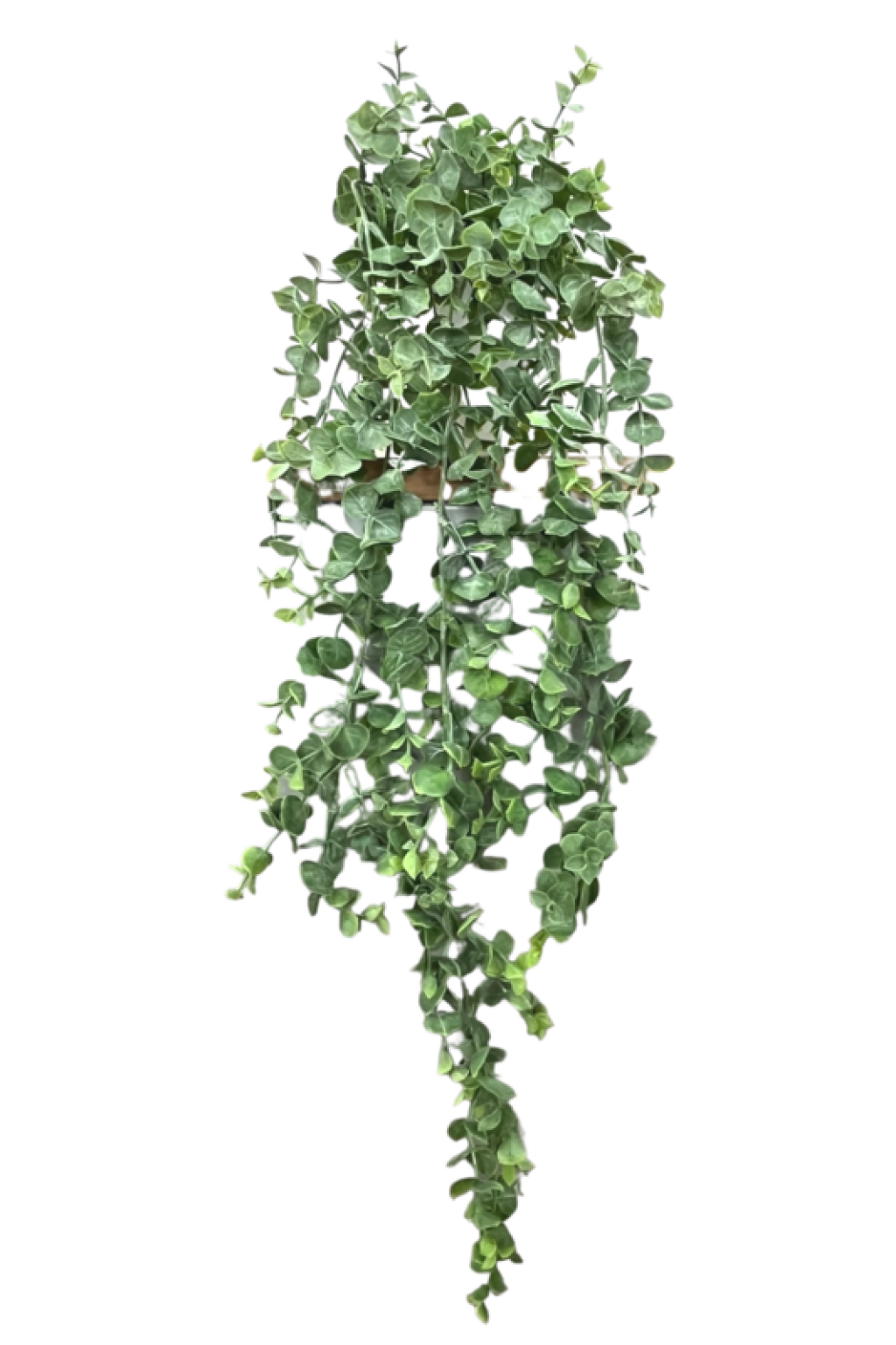 Eucalyptus Artificial Hanging Plant 60cm