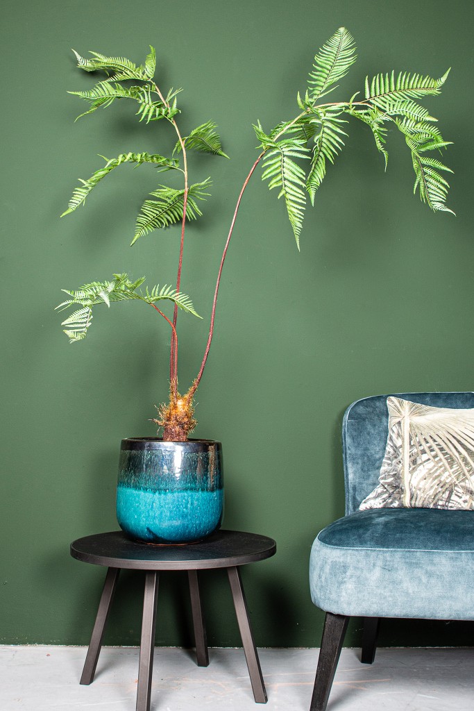 Leaves Sword Fern Plant Green | Kunstvaren in Zwarte Pot 150 cm