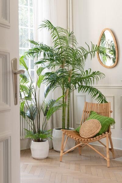 J-Line Bamboepalm in Pot Plastiek | Groen/Zwart | Small H170 cm