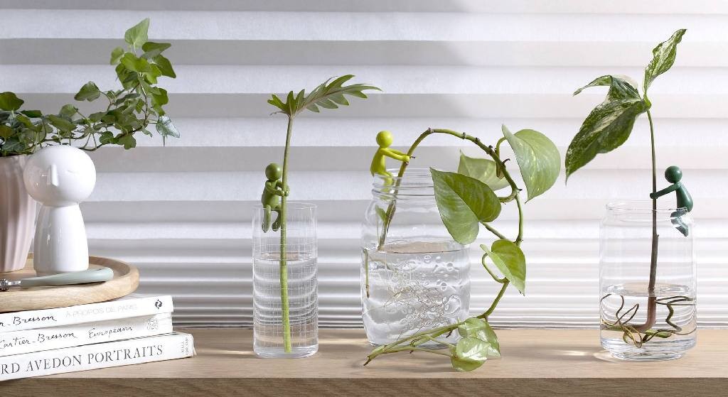 Peleg Design Stekjeshouder Leafriend | Groen | Plantensteun voor Stekjes