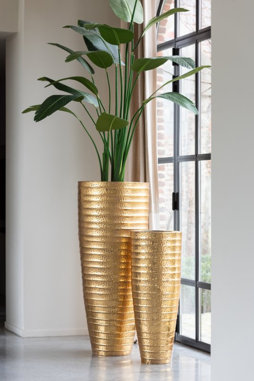 J-Line Strelitzia Plastic Green Medium