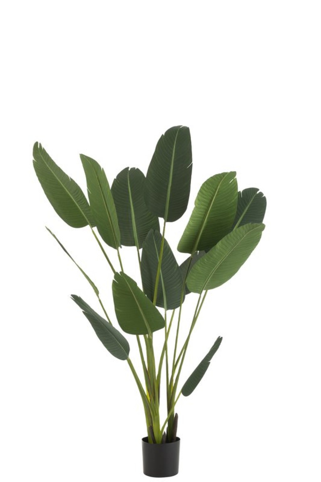 J-Line Strelitzia Plastic Green Medium