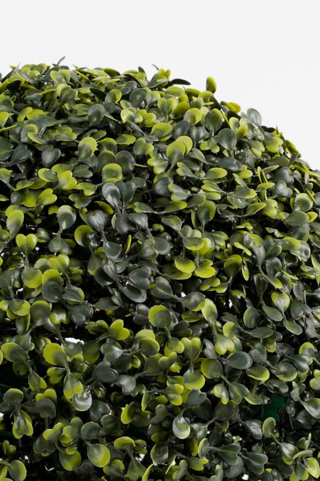 Goudenbod.nl