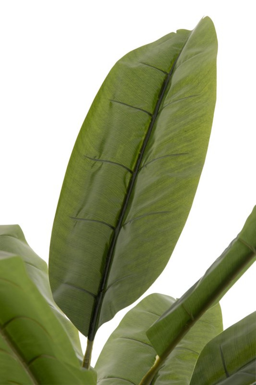 J-Line Banana Tree Plastic Green/Brown