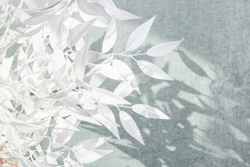 Leaves Plant White Smilax Spray