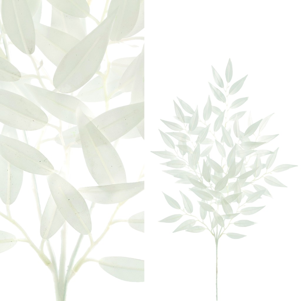 Leaves Plant White Smilax Spray