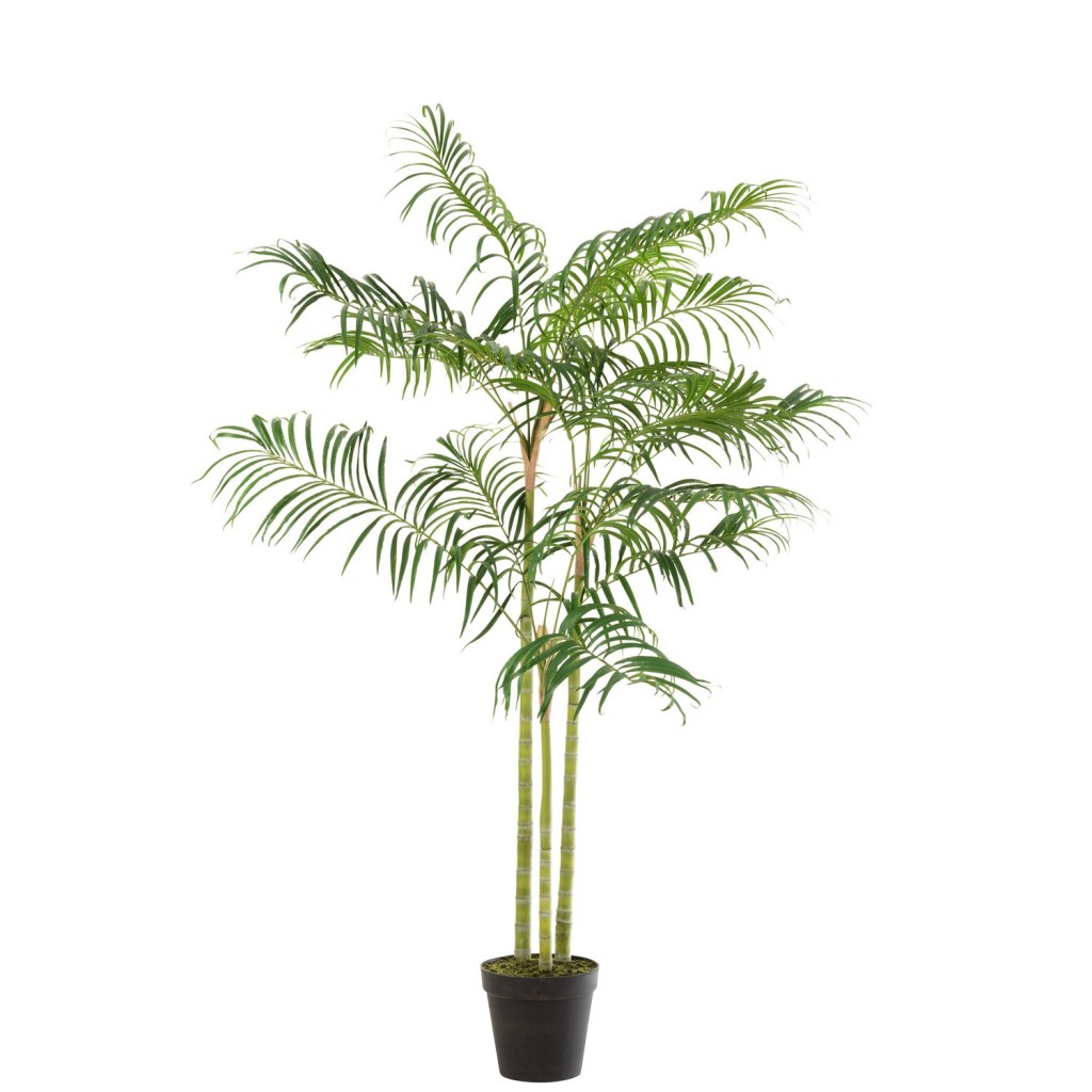 J-Line Bamboepalm In Pot Plastiek Groen/Zwart Small