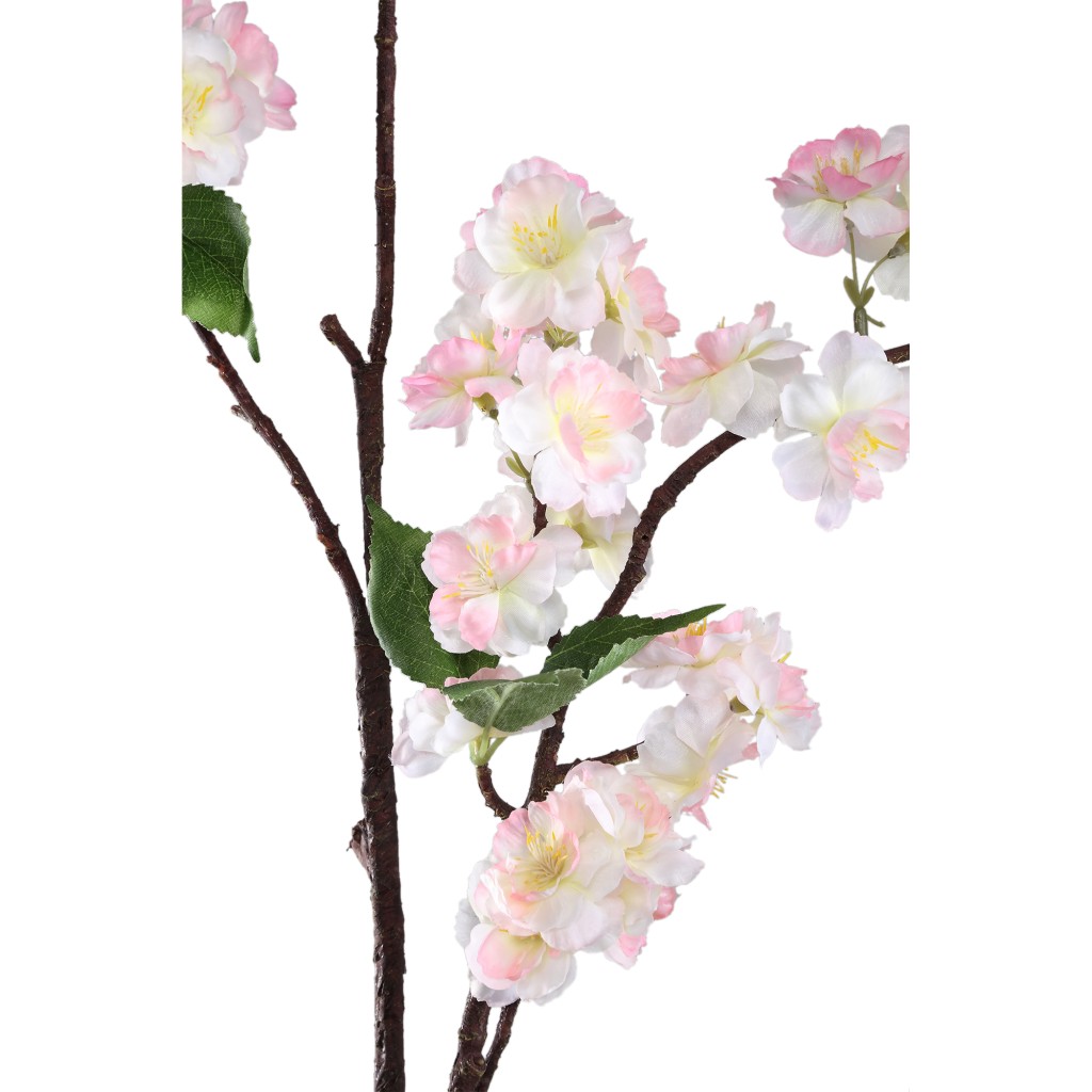 Blossom Flower Cream Pink Cherry Blossom Spray