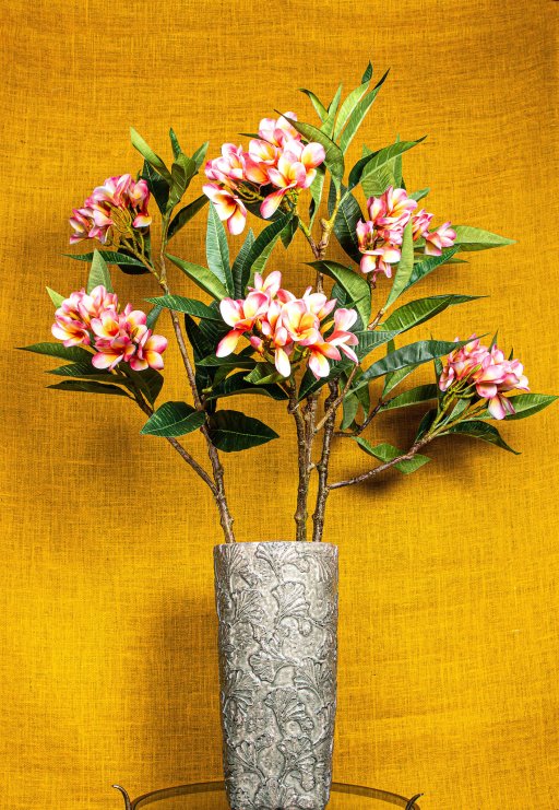 Garden Flower Pink Plumeria Spray W Leaves