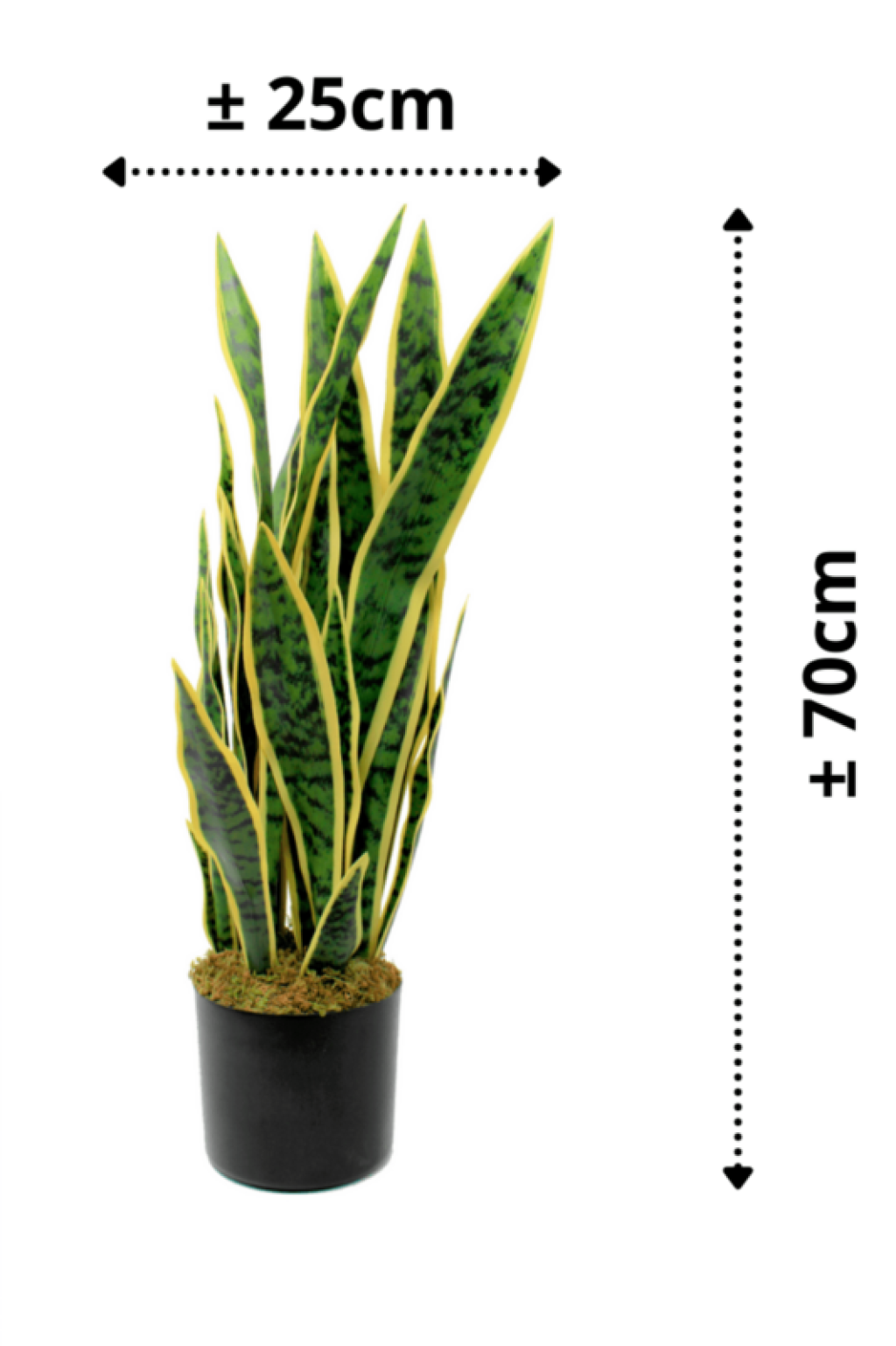 Sansevieria artificial plant 70cm