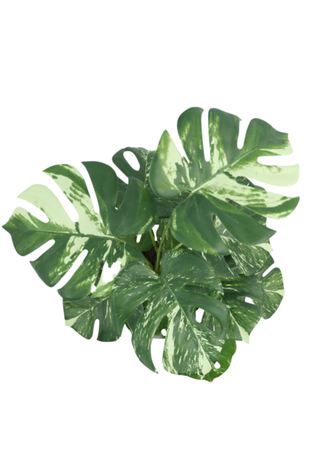 Monstera Artificial plant 40cm