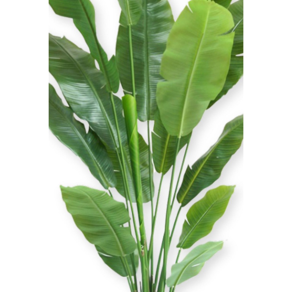 Strelitzia Kunstplant 180cm Deluxe