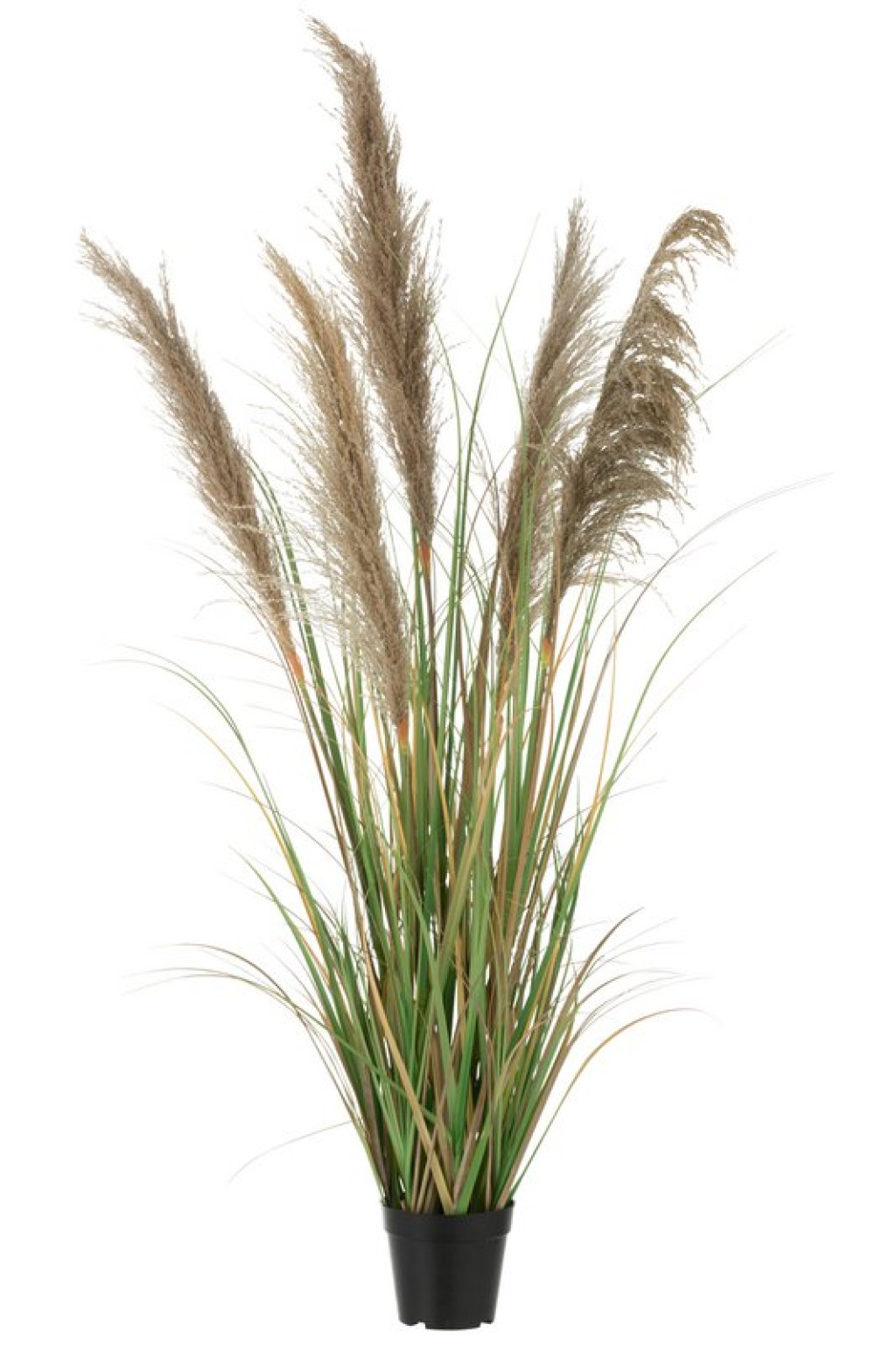 J-Line Pampas Grass 5 Heads In Pot PVC Green/Beige Small