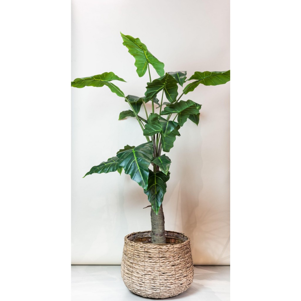 Kunstplant - Alocasia - Olifantsoor - 150 cm