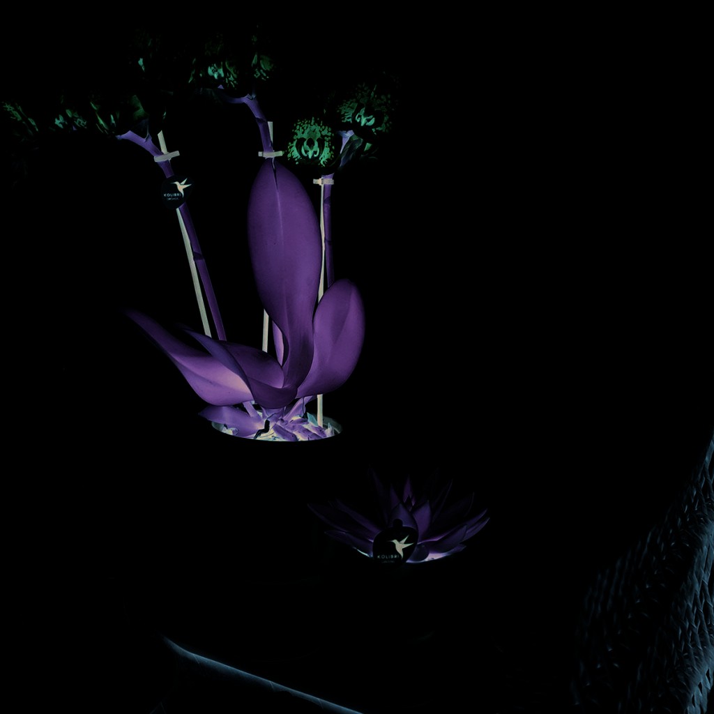 Kolibri Home | Plate oval - Ovale dienblad Ø30cm - White