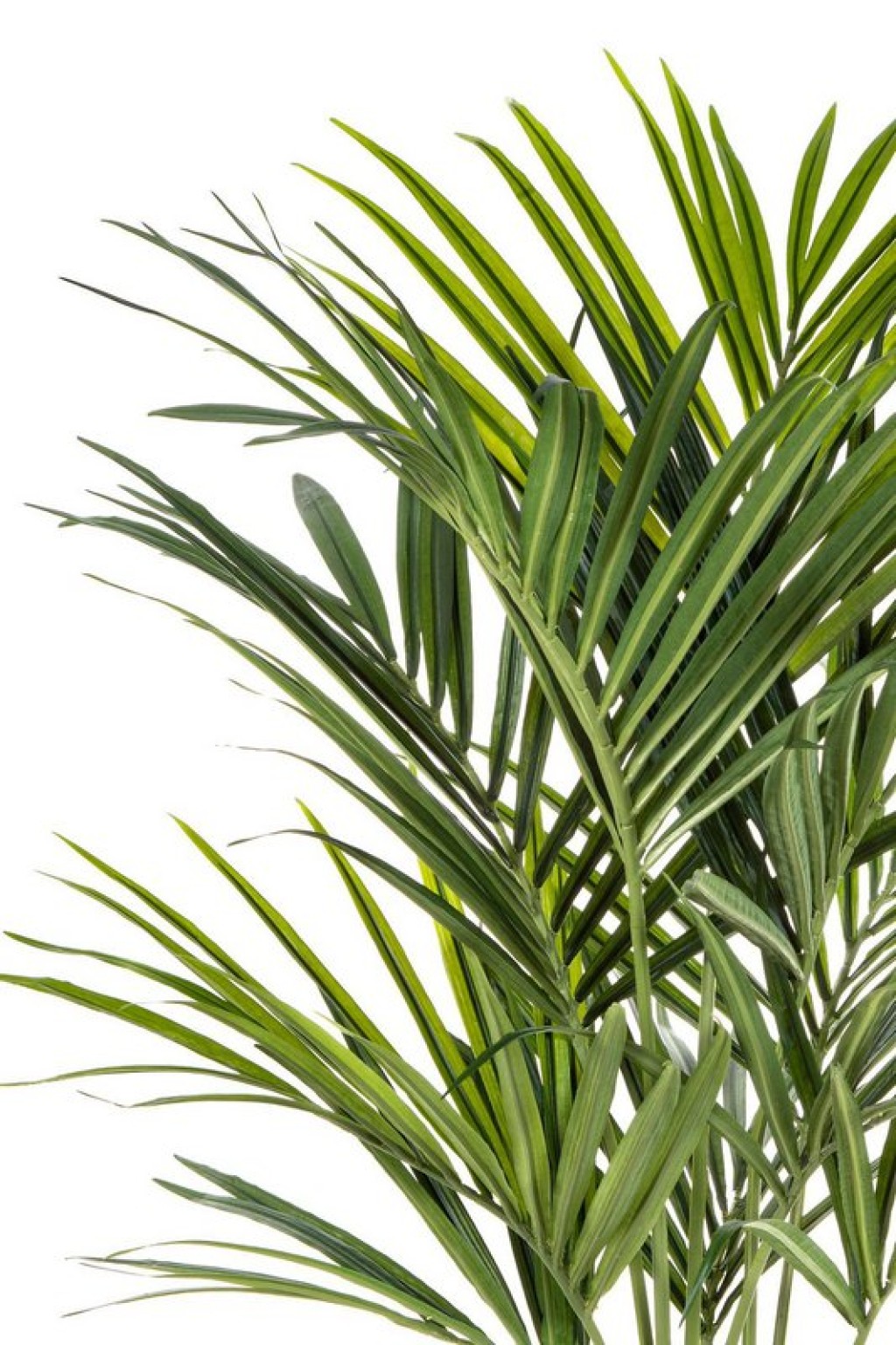 Kentia Artificial Palm 150cm