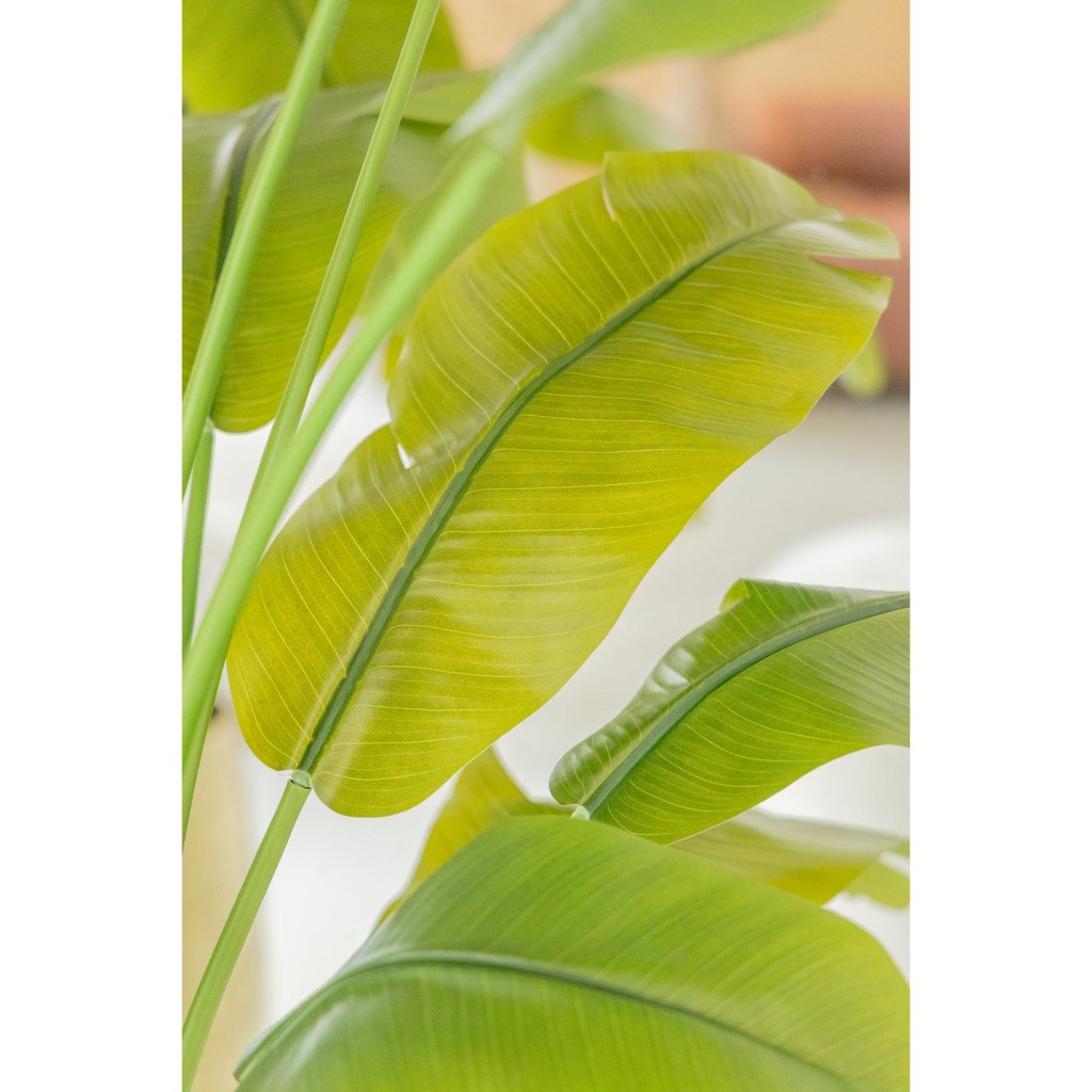 Strelitzia Kunstplant 165cm