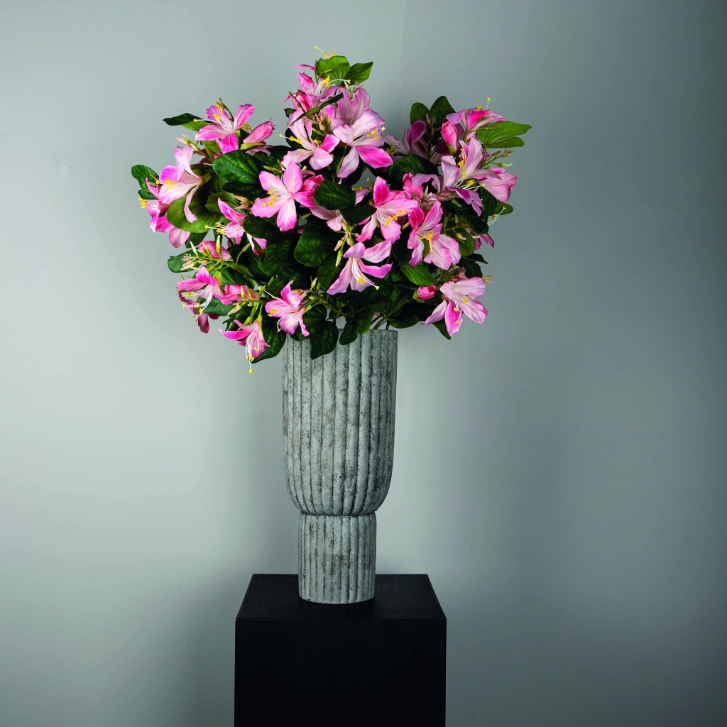 Garden Flower Pink Bauhinia Spray With Leaves