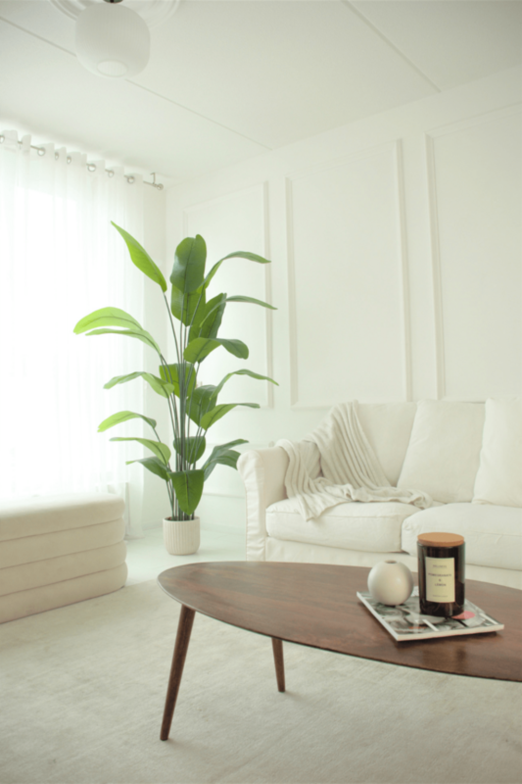 Pre-order art banana plant 210cm