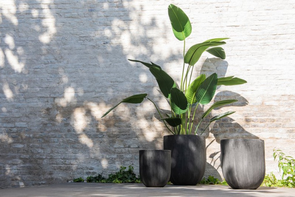 J-Line Strelitzia Plastic Green Medium