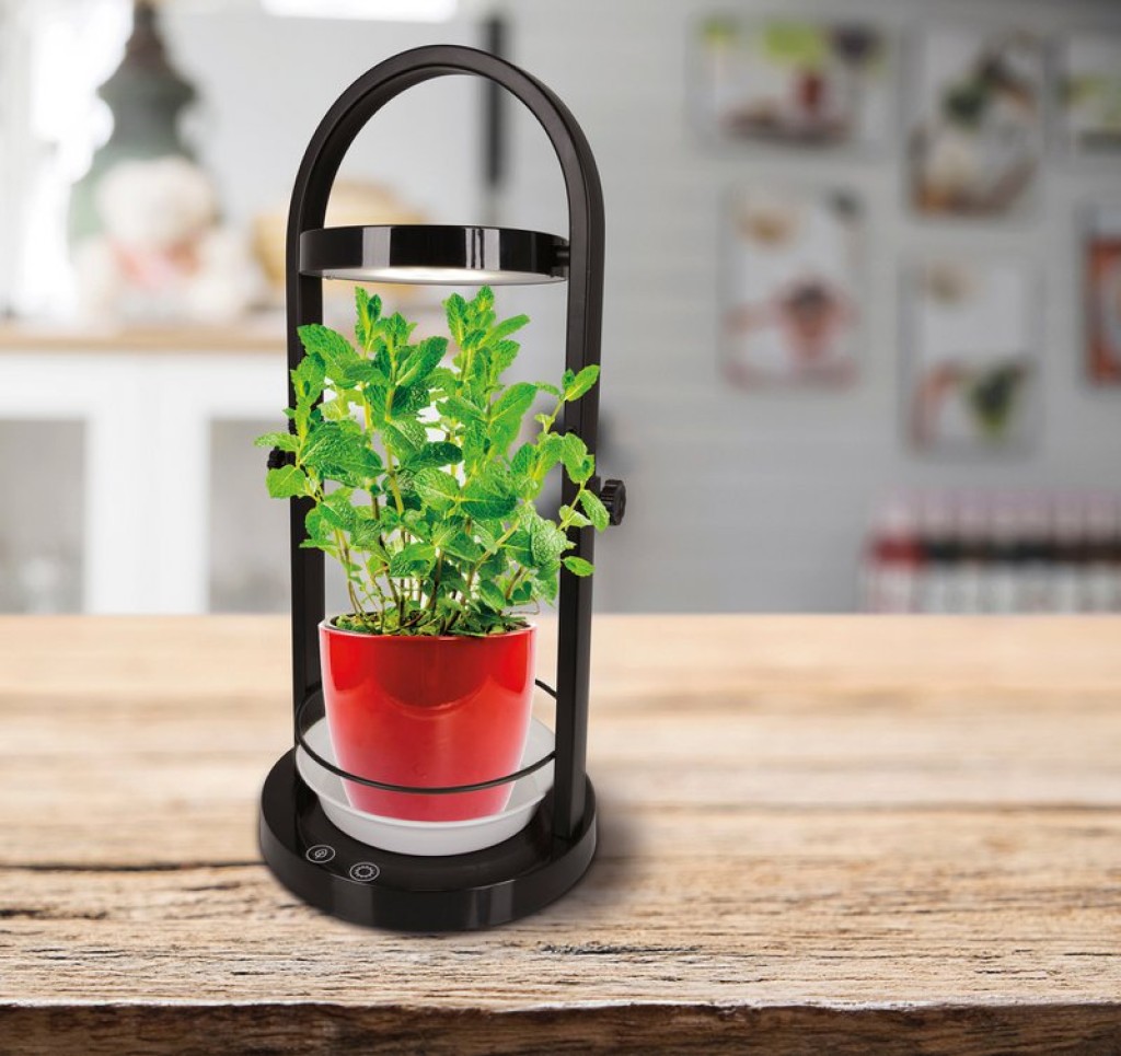 LED plant tablet light 53.5 cm high, made of metal and plastic in black, with integrated LED