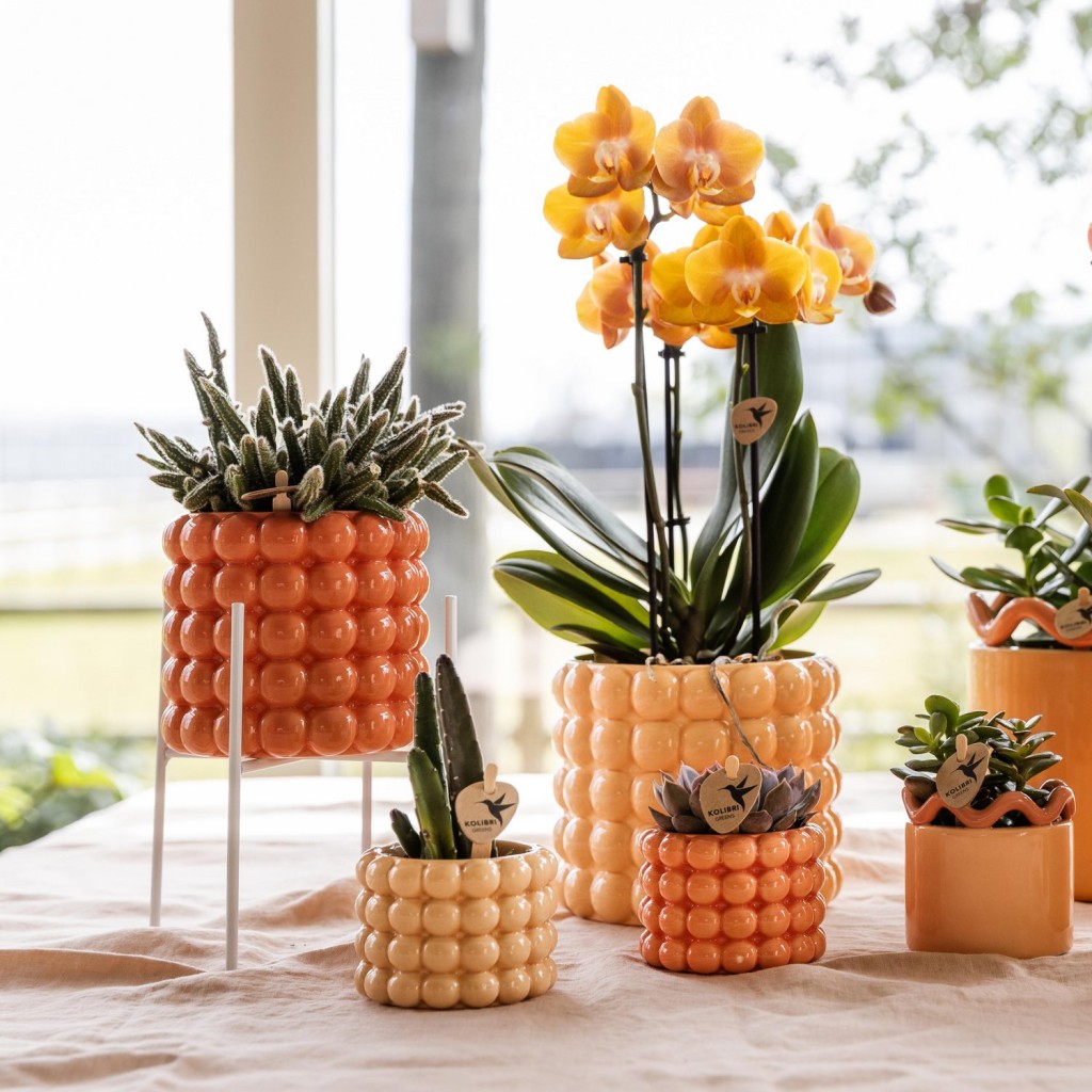 Kolibri Home | Plantenstandaard - Wit metalen planten verhoging Ø12cm