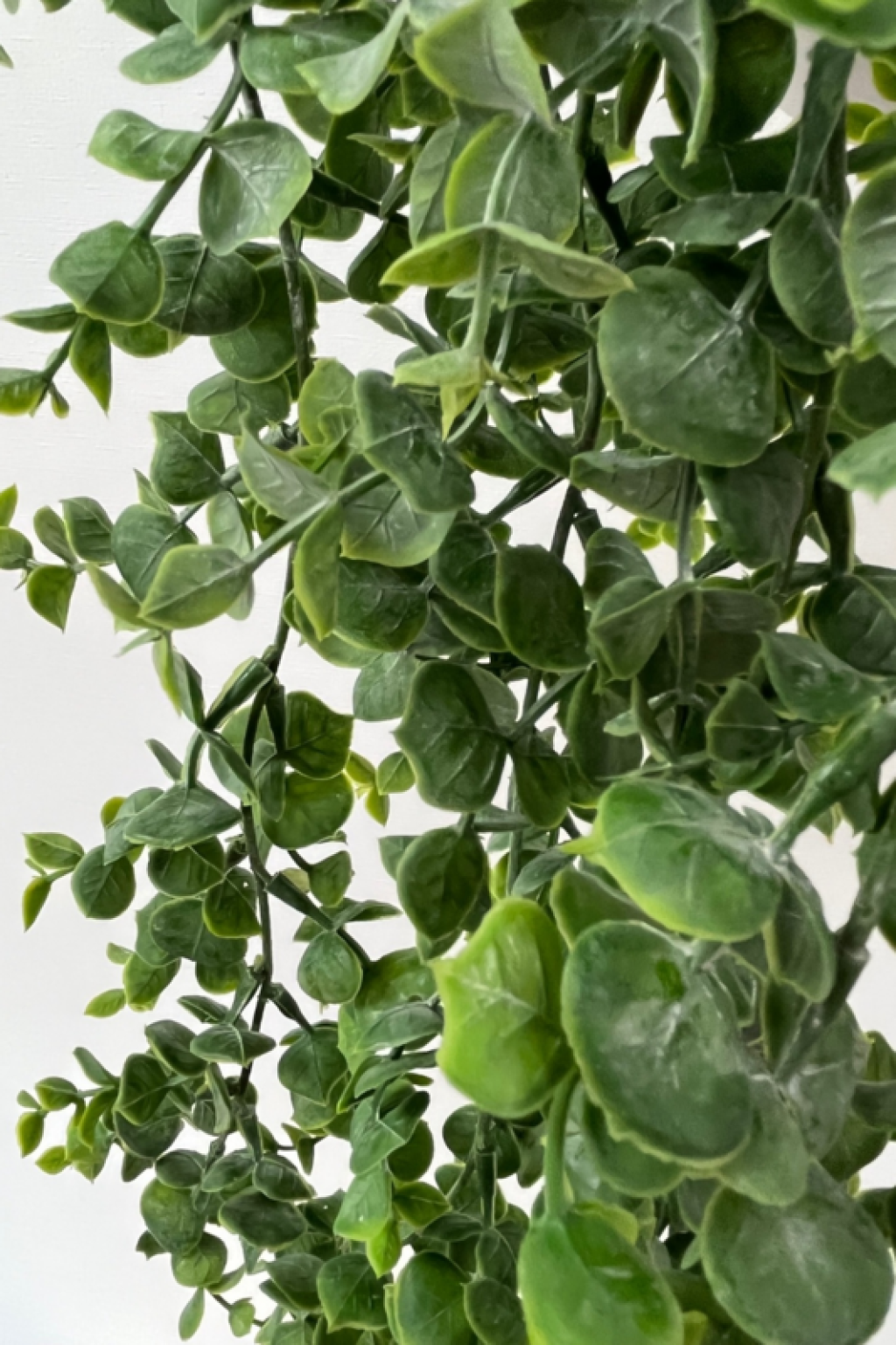 Eucalyptus Artificial Hanging Plant 60cm