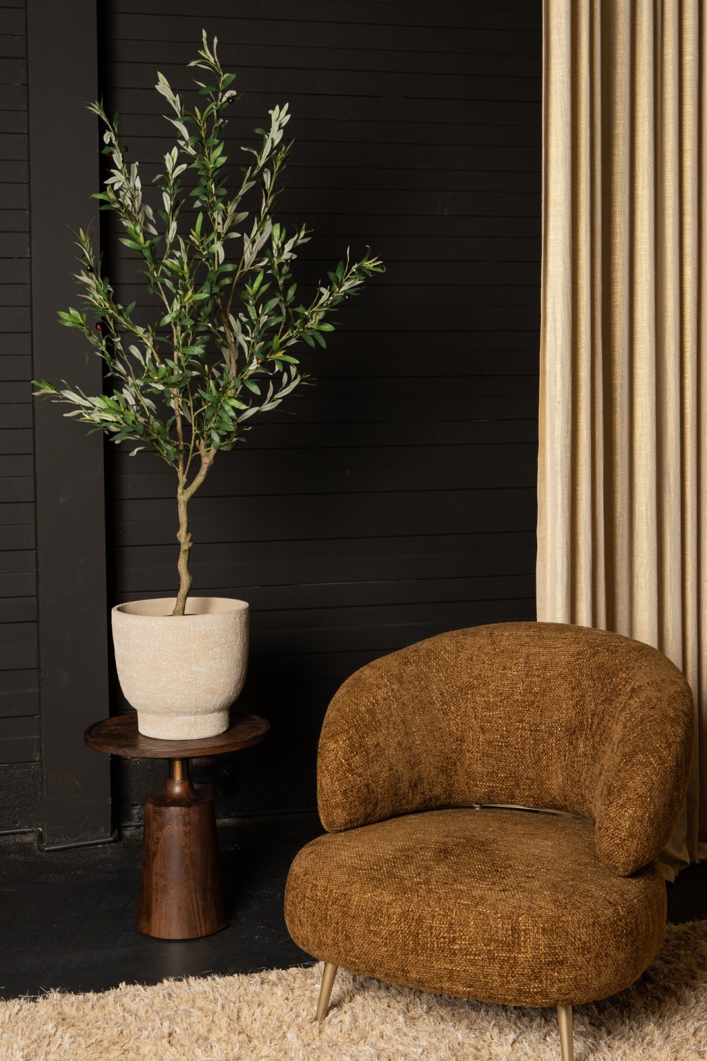 Tree Green Olive Tree In Pot L