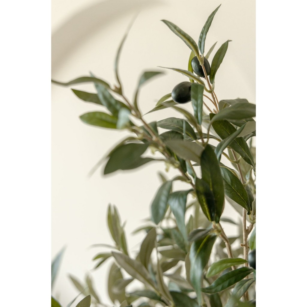 Pre-order Kunst Olijfboom 170cm Deluxe (feb '26)