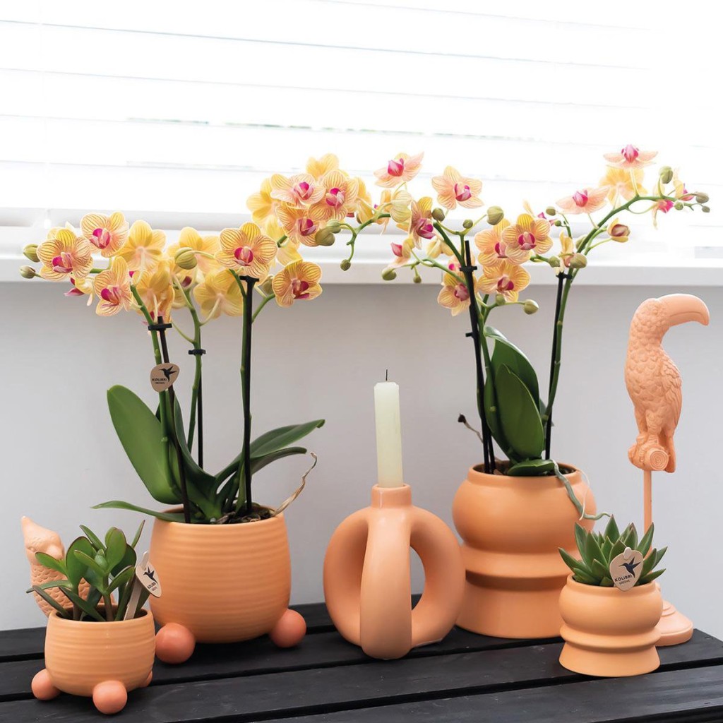 Kolibri Home | Rolling peach bloempot - Peach kleurige keramieken sierpot Ø9cm