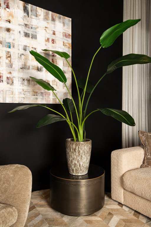 Leaves Plant Green PE Real Touch Strelitzia M