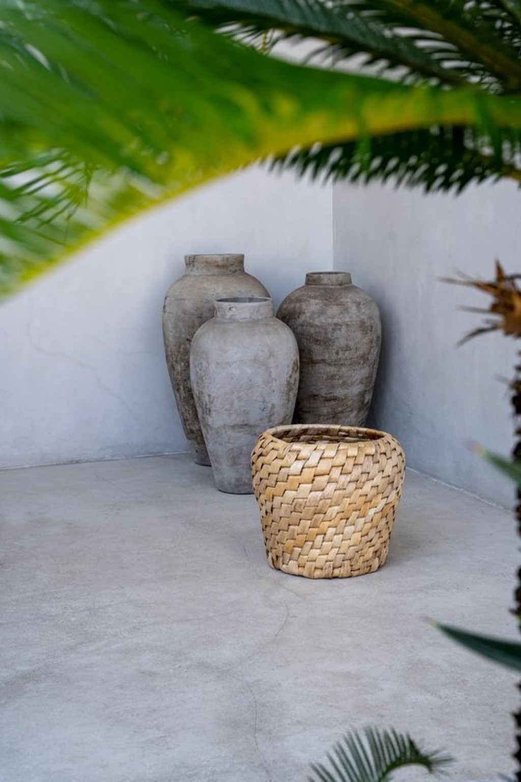 The Chidi Basket