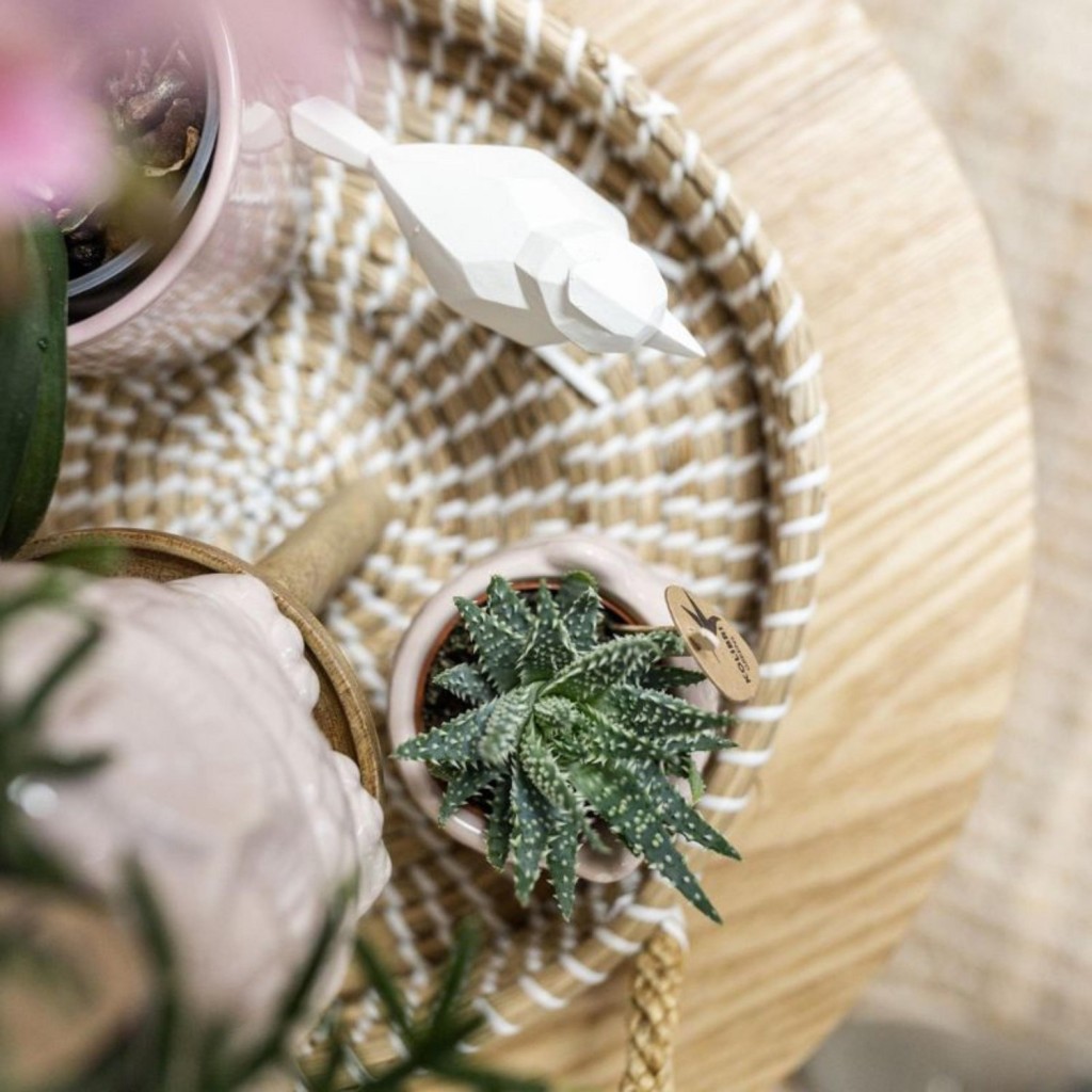 Kolibri Home | Decoratieschaal - Wit gevlochten dienblad Ø30cm