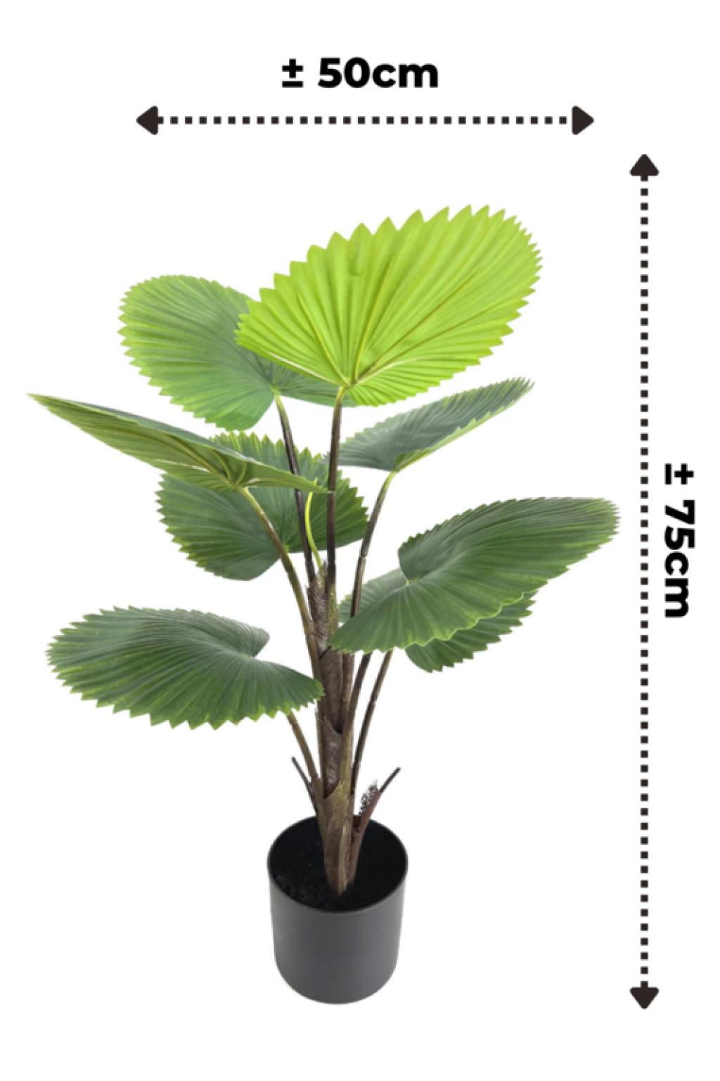 Artificial Fan Palm 75cm