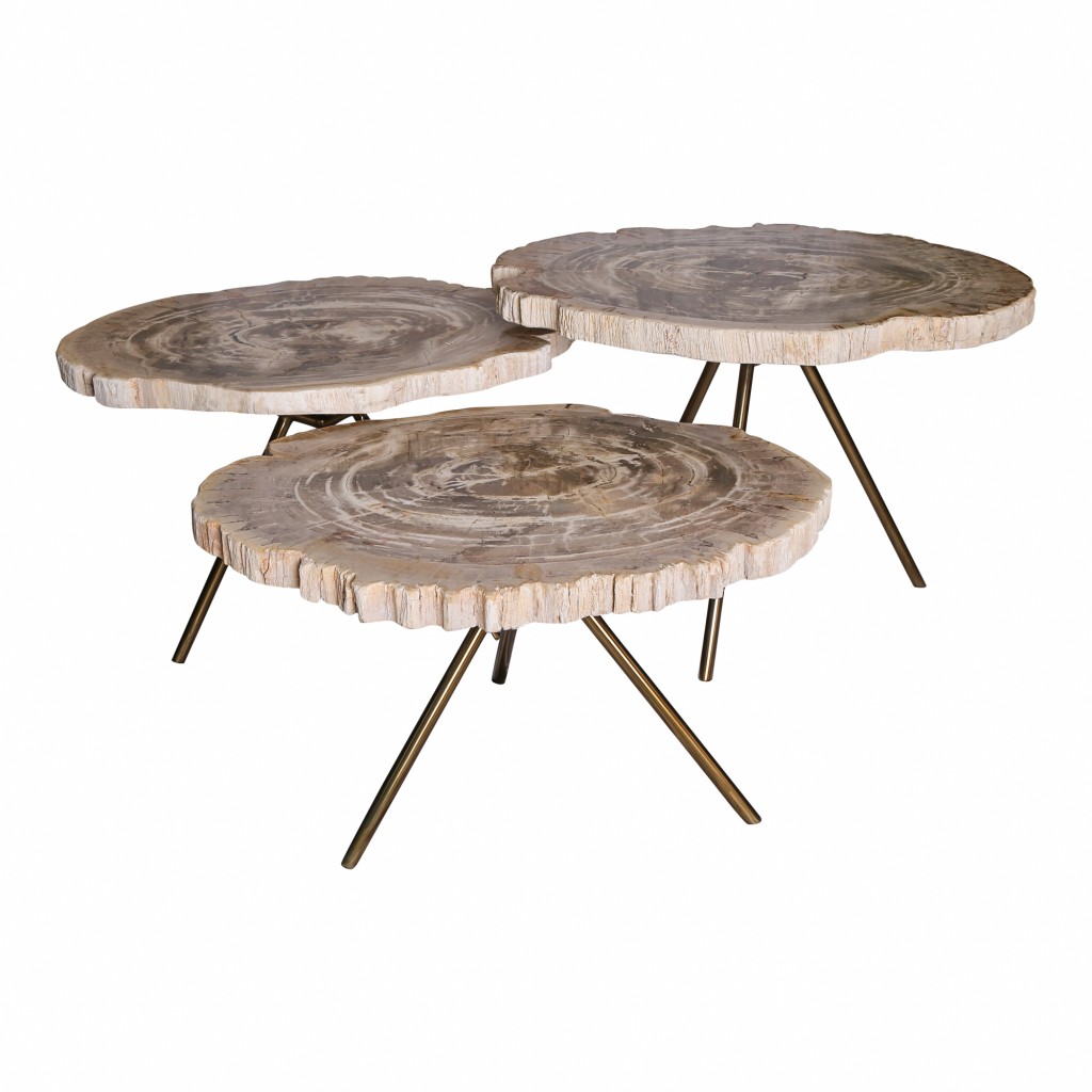New Khine Petrified Wood Coffee Table Brass SV3