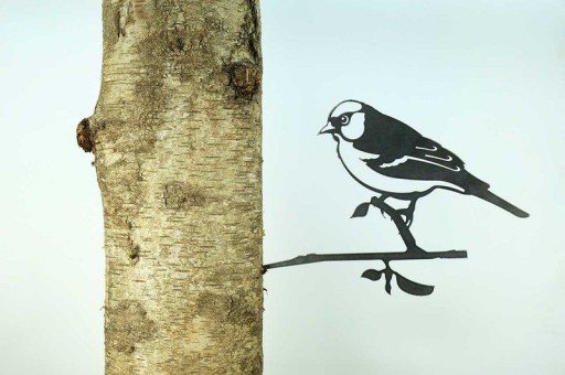 Lucky Chaffinch/Finch 1306 320 mm wide - 2 mm thick