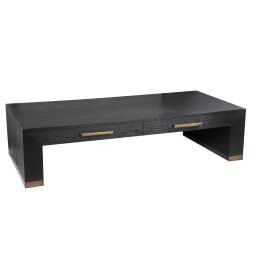 Tiess Salontafel | Zwart Houten Fineer | 2 Lades | Gouden Accenten - Product afbeelding