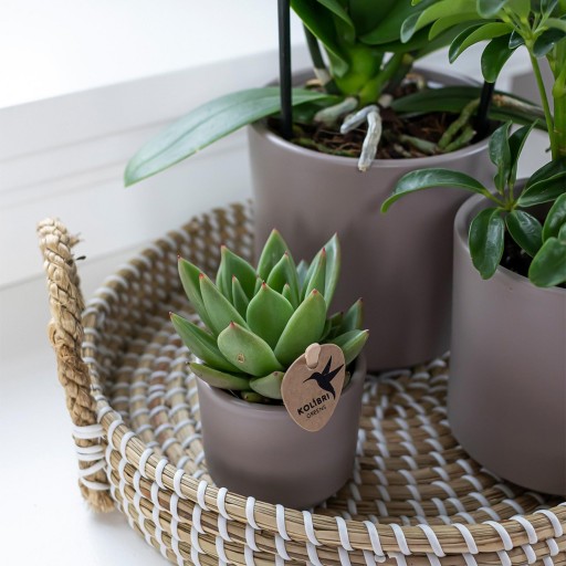 Kolibri Home | Decoratieschaal - Wit gevlochten dienblad Ø30cm