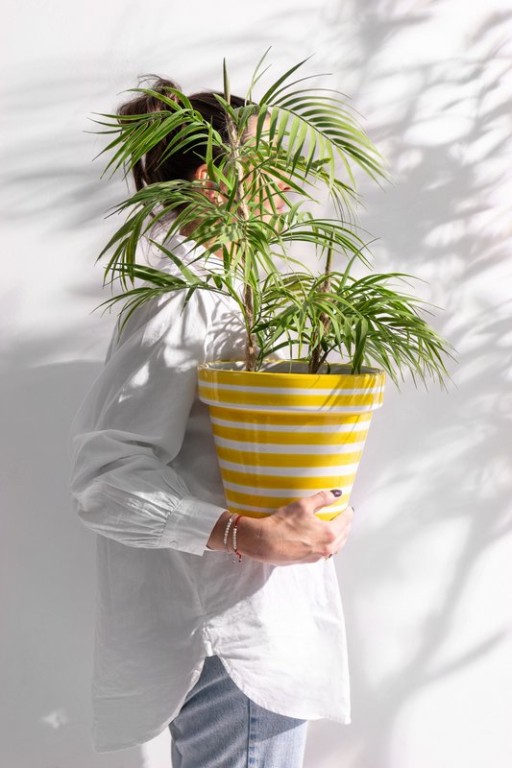 J-Line Bergpalm in Pot Plastic Green/Black Large