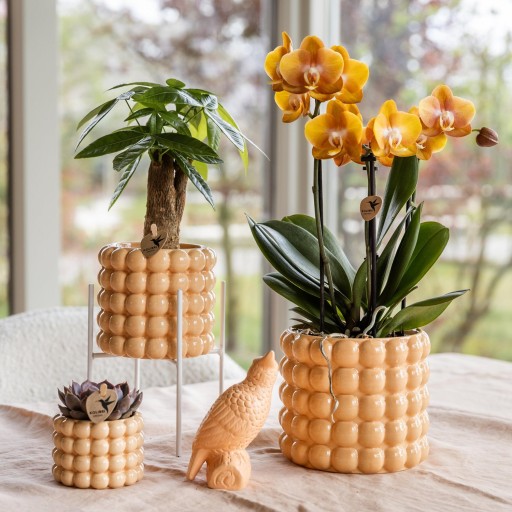 Kolibri Home | Plantenstandaard - Wit metalen planten verhoging Ø12cm