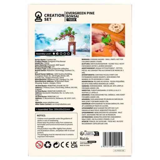 Robotime, DIY 3D Houten Modelbouwpakket, Evergreen Pine Bonsai, TG510, 20x10,5x23cm