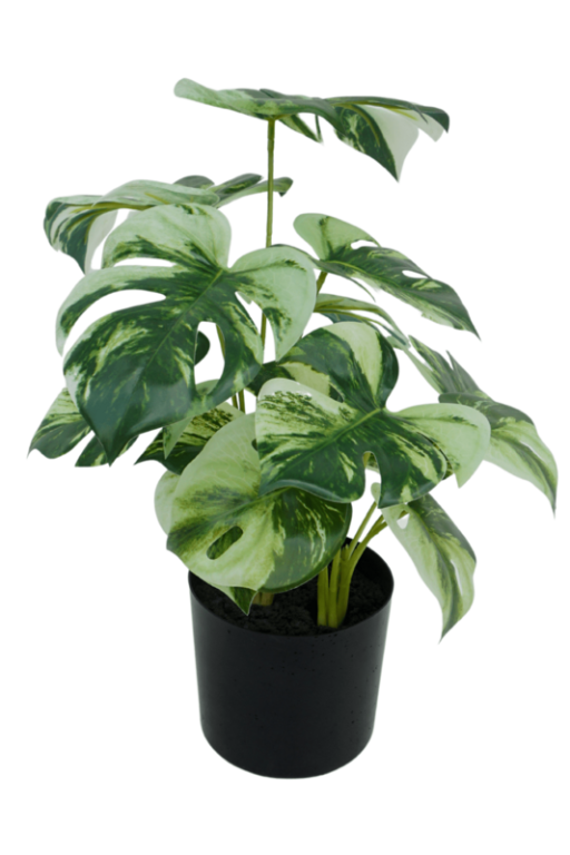Kunstplant Monstera 40 cm | Gatenplant