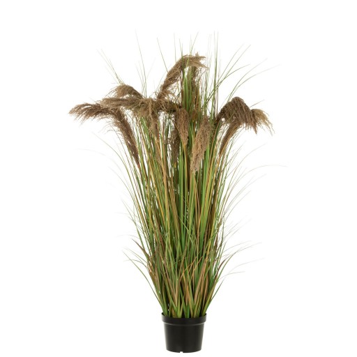 J-Line Pampas Gras 13 Koppen In Pot Pvc Groen/Beige Large