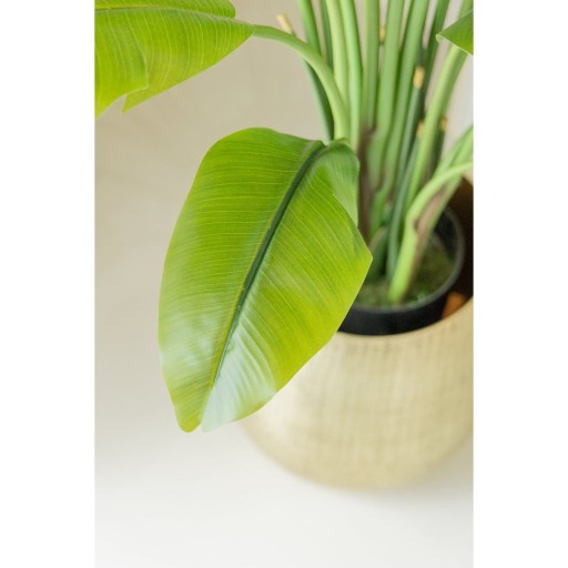 Strelitzia Kunstplant 165cm