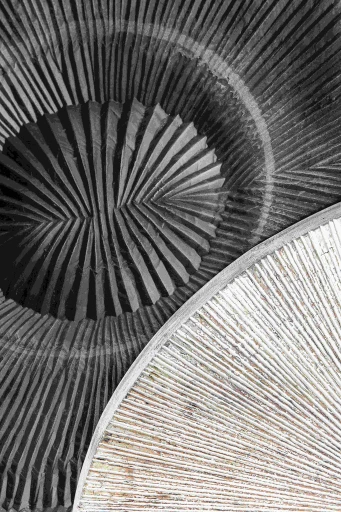 Zapp Wandpaneel | Wit Ribbel | Rond | Small – MDF