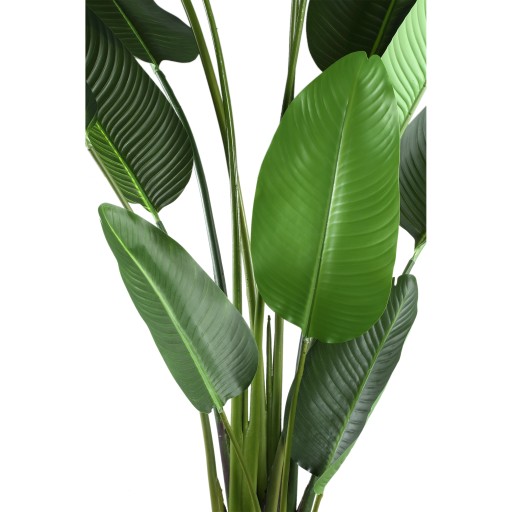 Leaves Plant Green PE Real Touch Strelitzia XL | Grote Kunstplant Paradijsvogelplant 310 cm