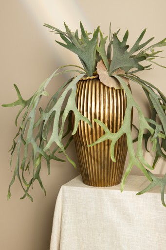 Leaves Plant Green Staghorn op Stengel | Realistisch Kunstplant