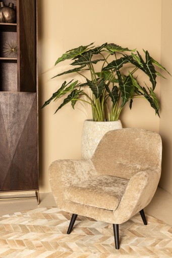 Donny Fauteuil | Cream Fluweel | Zwarte Houten Poten | 92x82x84 cm