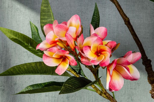 Plumeria Kunstbloem | Roze | Spray met Bladeren – 110 cm